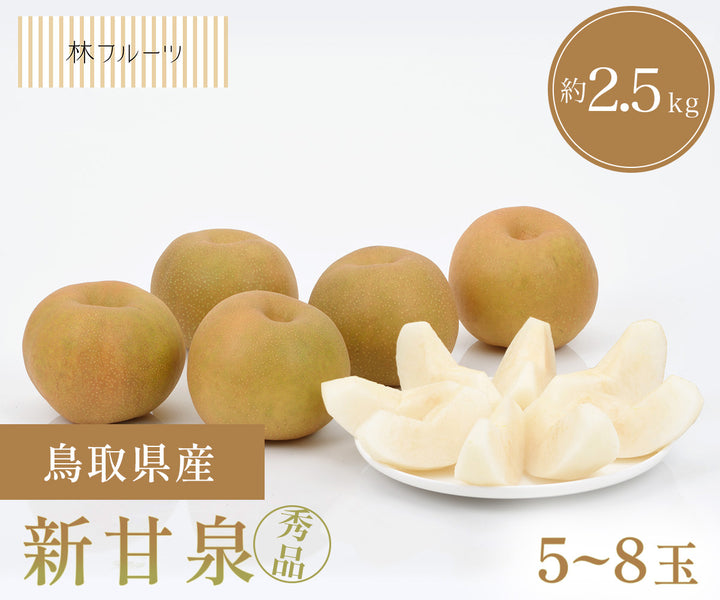鳥取県産 新甘泉 秀品 5玉～8玉 約2.5kg