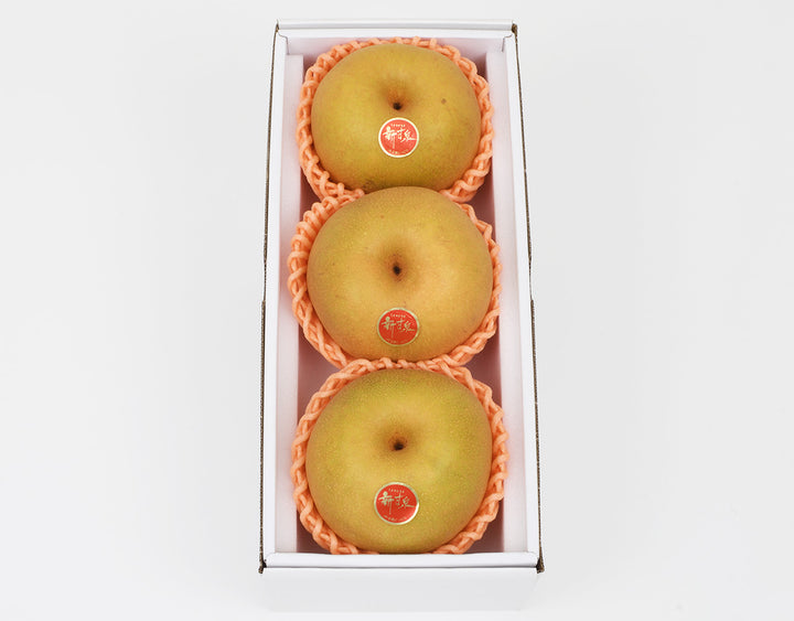 鳥取県産 新甘泉 秀品 化粧箱 3玉