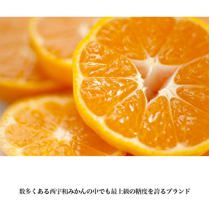 【お歳暮企画】愛媛県産 みなのみかん 約4.6kg