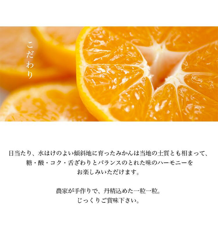 【お歳暮企画】愛媛県産 みなのみかん 約4.6kg