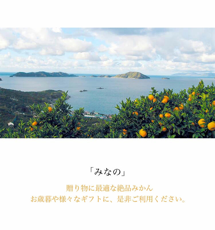 【お歳暮企画】愛媛県産 みなのみかん 約2.8kg