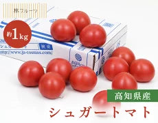 高知県産 シュガートマト 約1kg