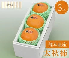 熊本県産 太秋柿 秀品 3玉