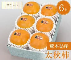 熊本県産 太秋柿 秀品 6玉
