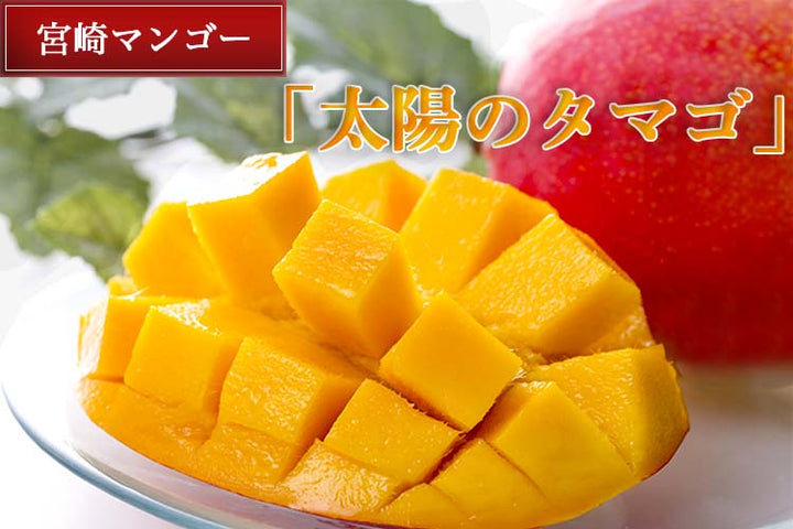 宮崎県産 完熟マンゴー 太陽のタマゴ 4Lサイズ 1玉