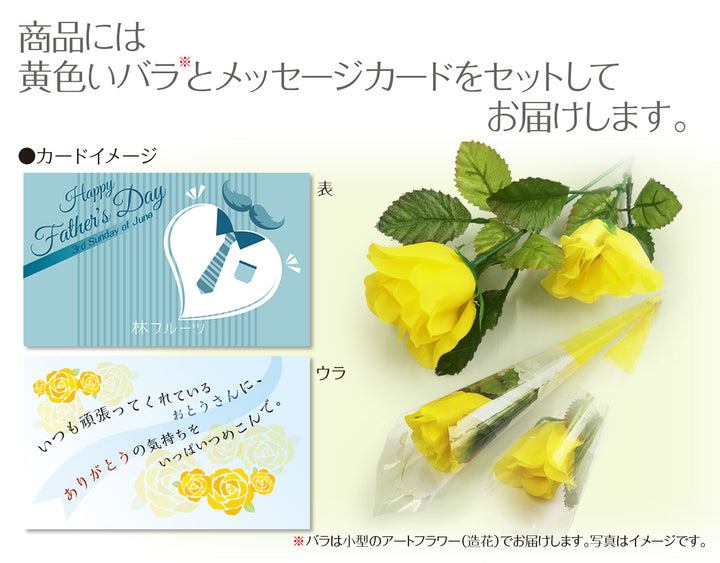 【父の日企画】山形県産他 さくらんぼ L~2Lサイズ （約480g)