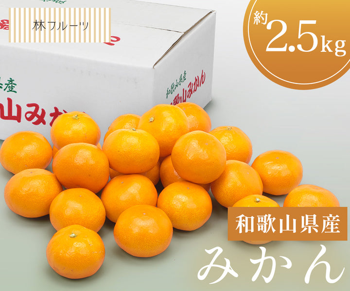 【お歳暮企画】和歌山県産 みかん 約2.5kg