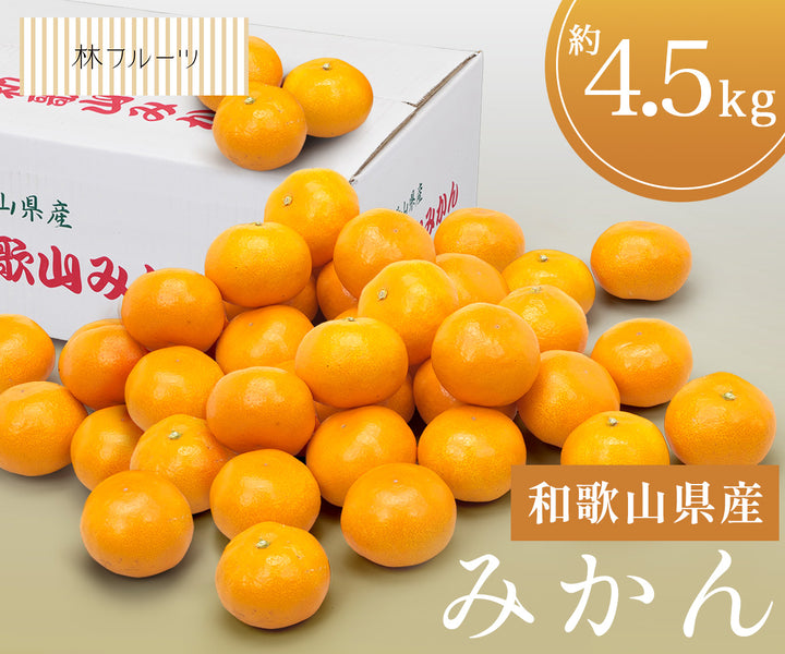 【お歳暮企画】和歌山県産 みかん 約4.5kg