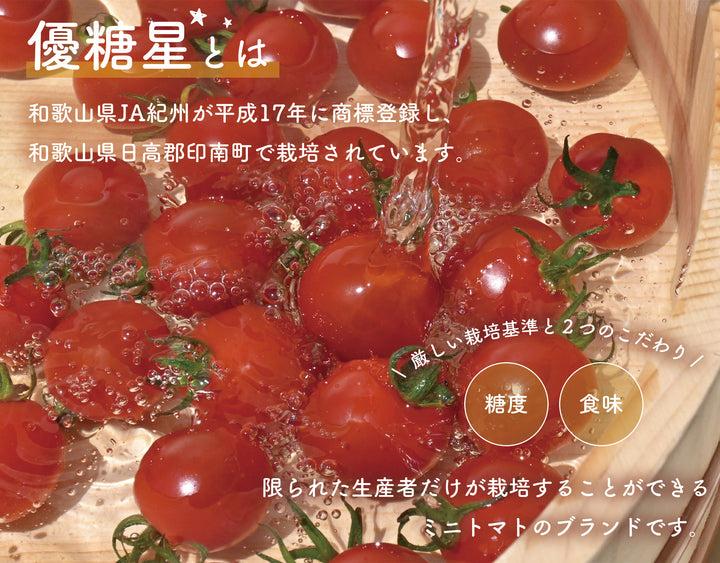 和歌山県産 優糖星 1パック