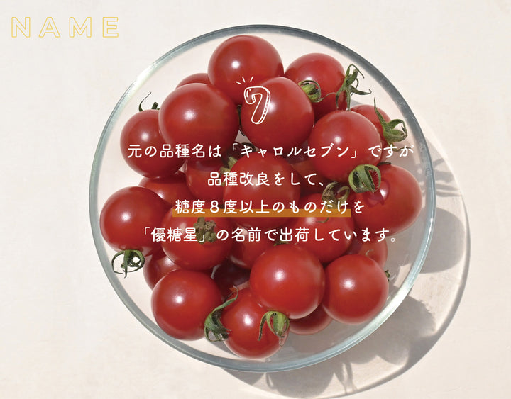 和歌山県産 優糖星 1パック