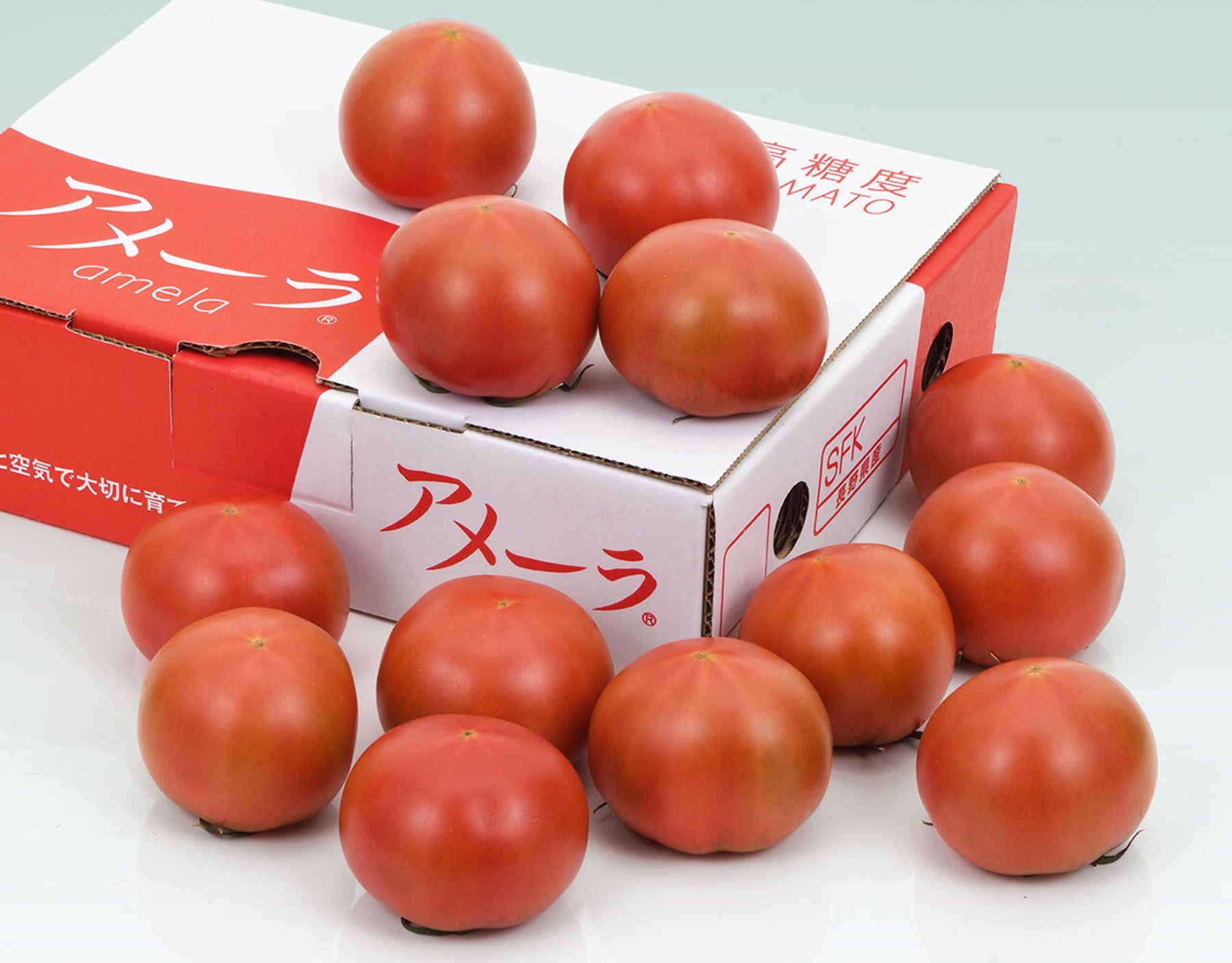 送料無料20246ケース　アメーラトマト　自信あります！　高糖度　フルーツトマト　品質鮮度抜群！ 野菜