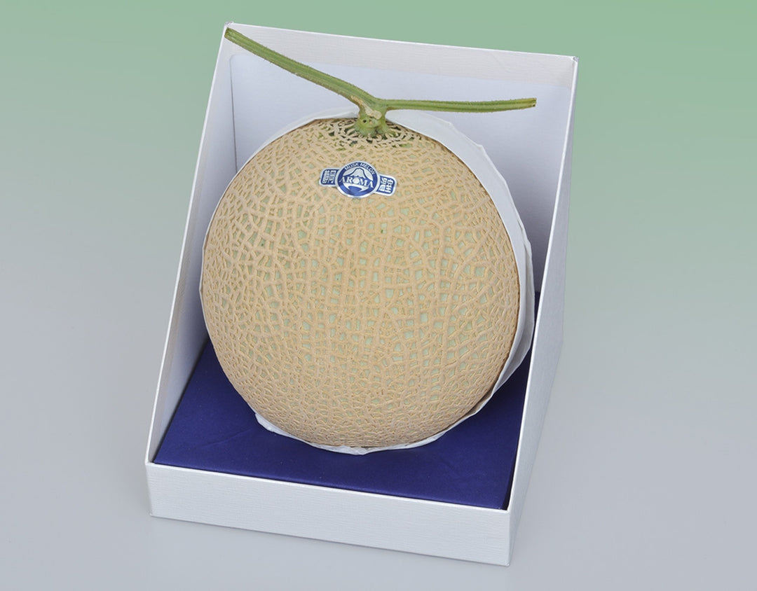 静岡産 アローママスクメロン【1玉計約1.3kg】　