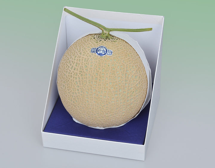 静岡産 アローママスクメロン【1玉計約1.3kg】　
