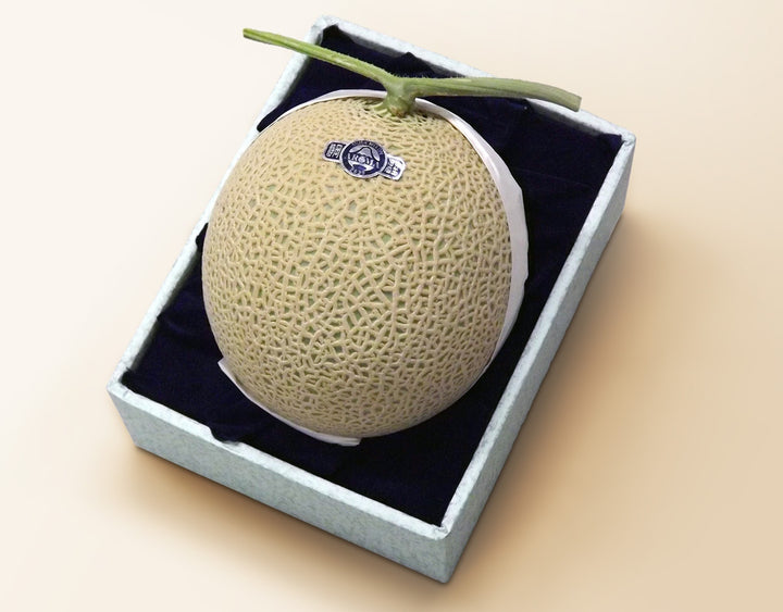 静岡産 アローママスクメロン【1玉 約1.4kg】　