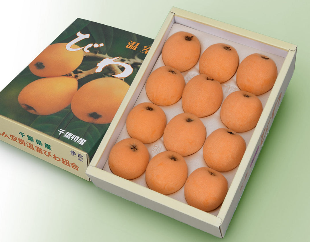 千葉県産 皇室献上 房州びわ 約1kg（12粒~15粒）