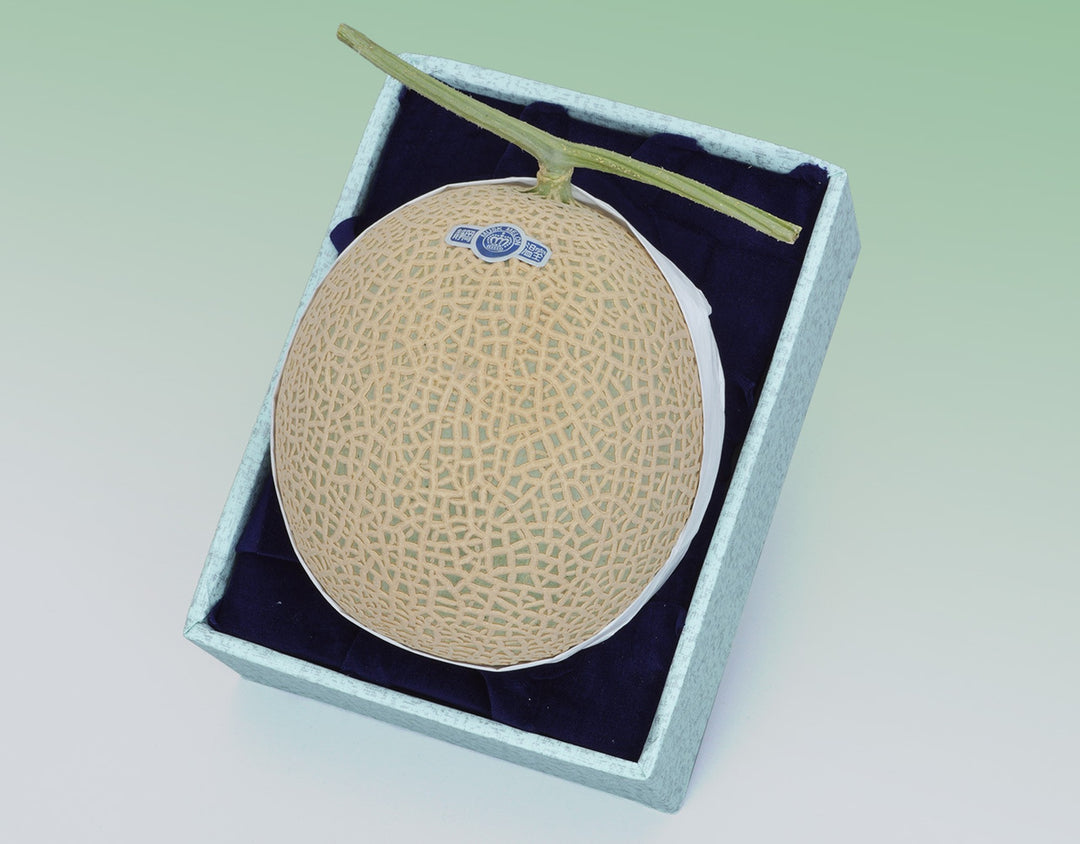静岡産 クラウンマスクメロン【1玉 約1.2kg】