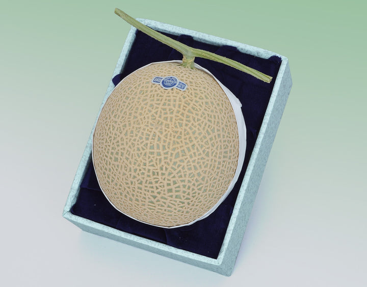 静岡産 クラウンマスクメロン【1玉 約1.2kg】