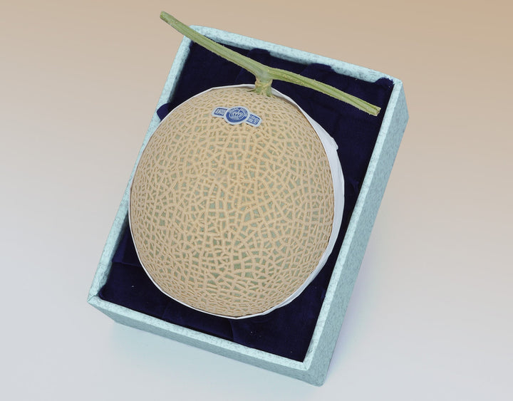 静岡産 クラウンマスクメロン【1玉約1.4kg】　