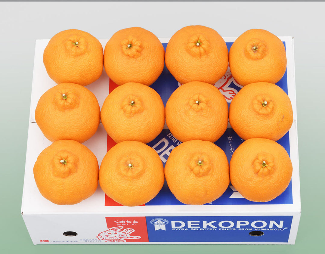 熊本県産 デコポン 秀品 9玉～12玉 約3kg