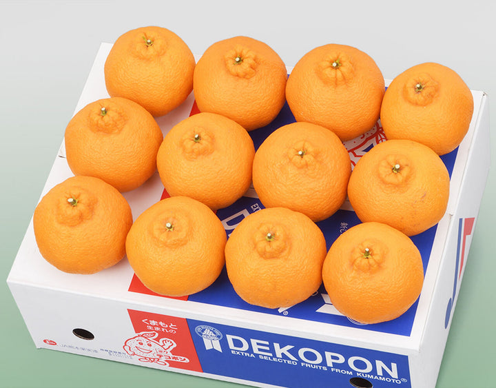 熊本県産 デコポン 秀品 9玉～12玉 約3kg