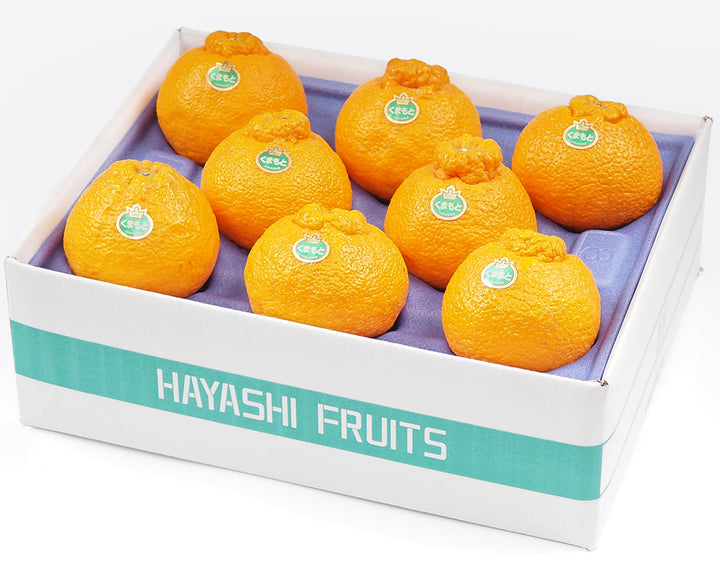 熊本県産 デコポン 大玉 8玉 約2.5kg