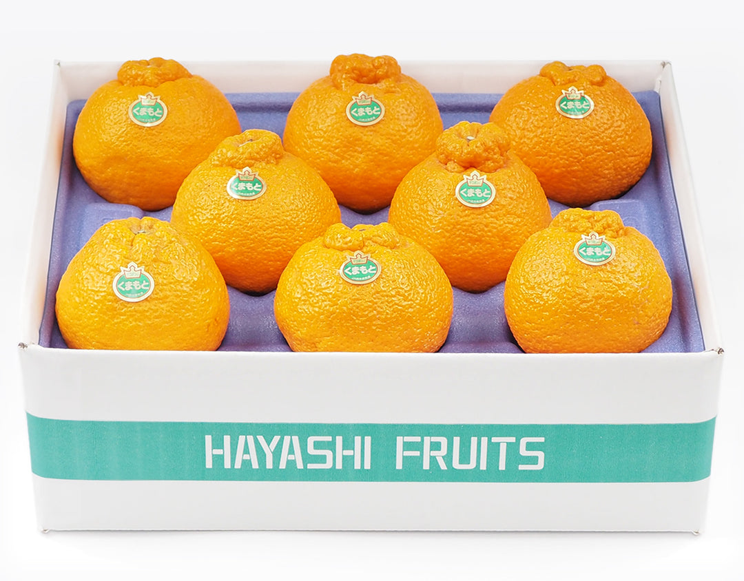 熊本県産 デコポン 大玉 8玉 約2.5kg