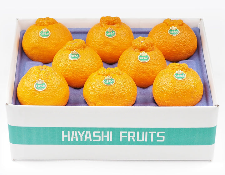 熊本県産 デコポン 大玉 8玉 約2.5kg