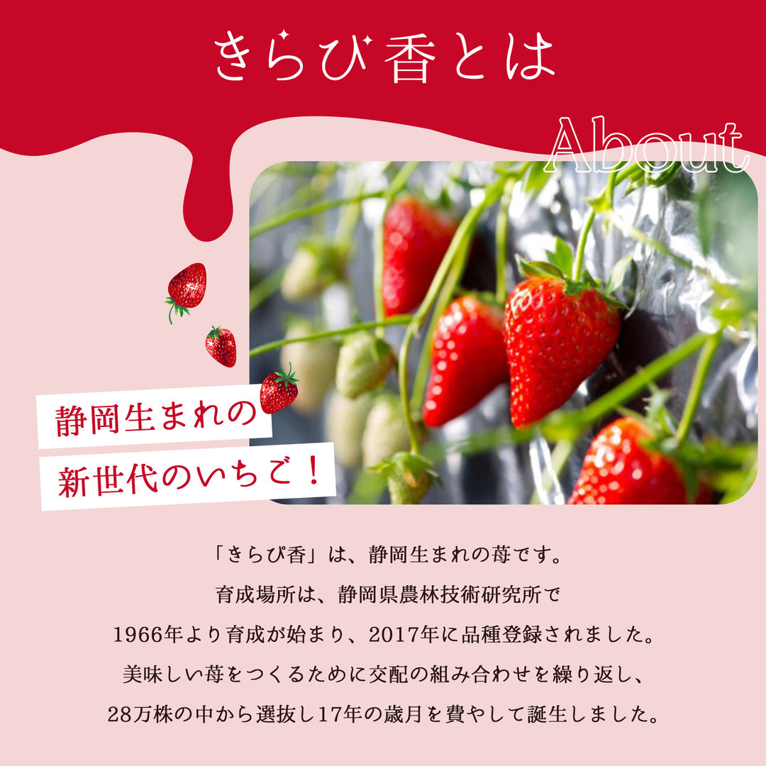 静岡県産 きらぴ香 12粒～15粒 化粧箱 約400g