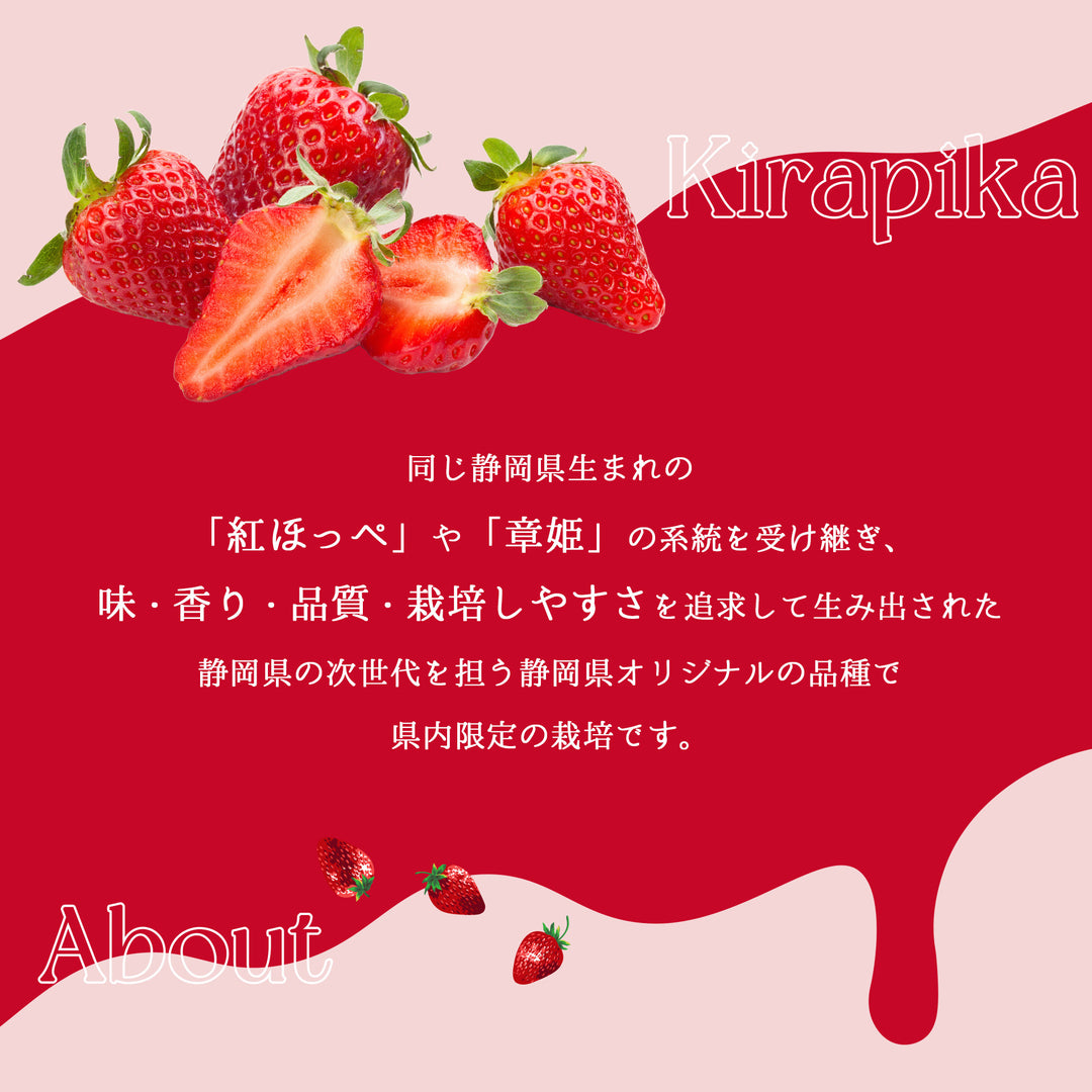 静岡県産 きらぴ香 12粒～15粒 化粧箱 約400g