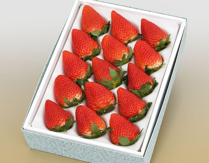 静岡県産 きらぴ香 12粒～15粒 化粧箱 約400g