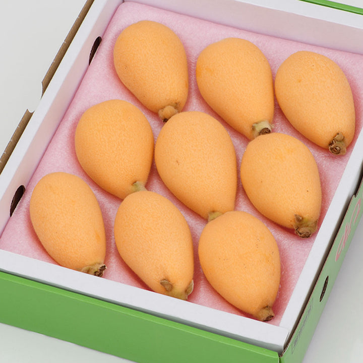 長崎県産 茂木びわ 秀品 化粧箱 約500g