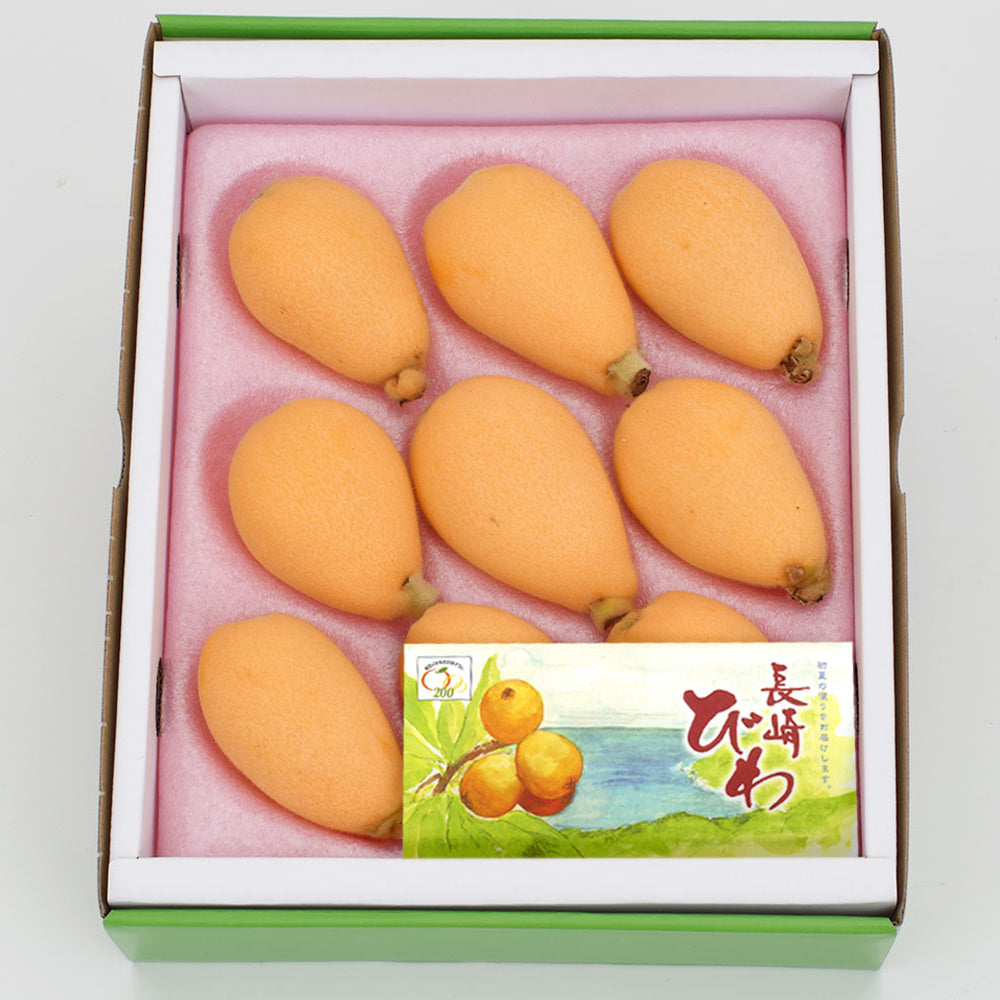 長崎県産 茂木びわ 秀品 化粧箱 約500g