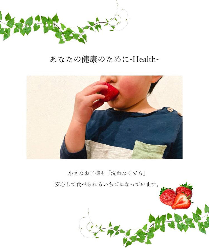 小野口農園 こだわり苺 （とちおとめ 又は とちあいか) 約315g×2 (9粒～14粒)