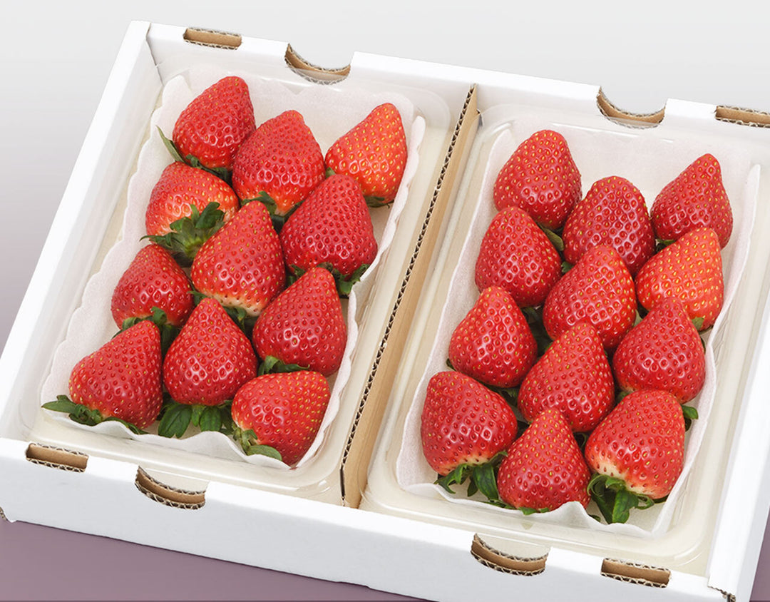 小野口農園 こだわり苺 （とちおとめ 又は とちあいか) 約315g×2 (9粒～14粒)